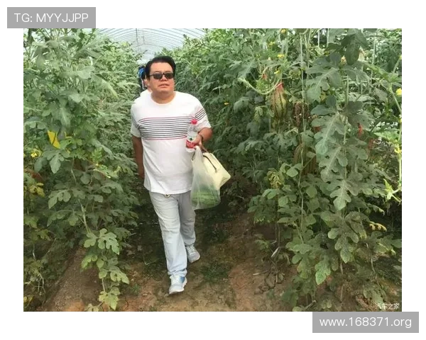 大丰收娱乐：畅享无限精彩的娱乐体验与欢乐时光